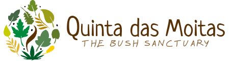 Quinta Das Moitas – Bush Refuge and Holistic Sanctuary